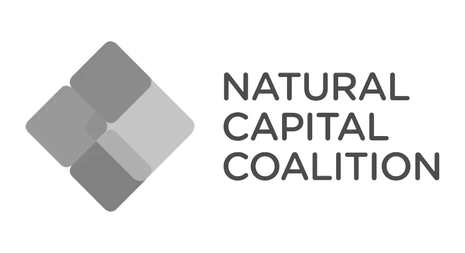 natural-capital-coalition-logo